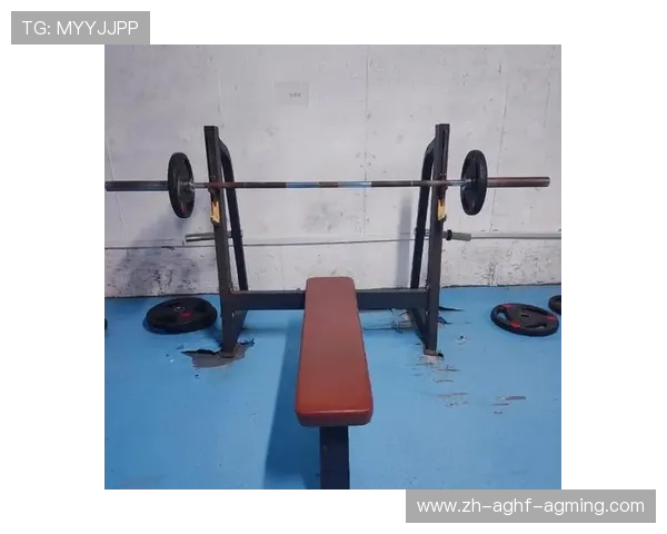 网上健身器材商城哪家好?主流平台评测与选购建议