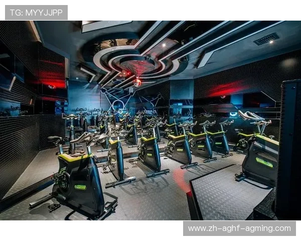 赛普健身器材:赛普品牌的产品特色与市场表现